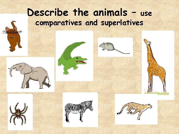 Describe the animals – use comparatives and superlatives 