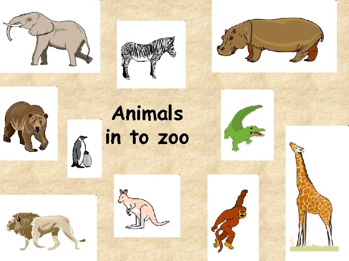 Animals in to zoo 