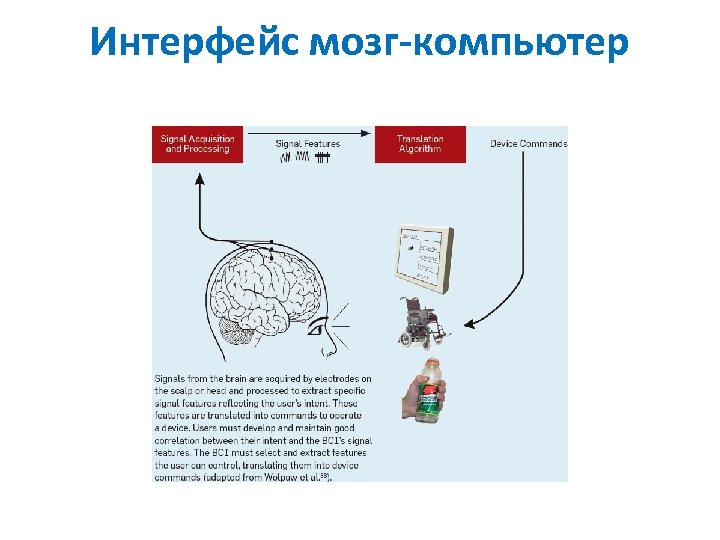 Интерфейс мозг-компьютер 