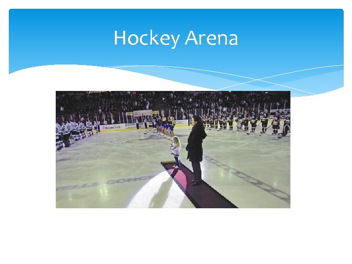 Hockey Arena 