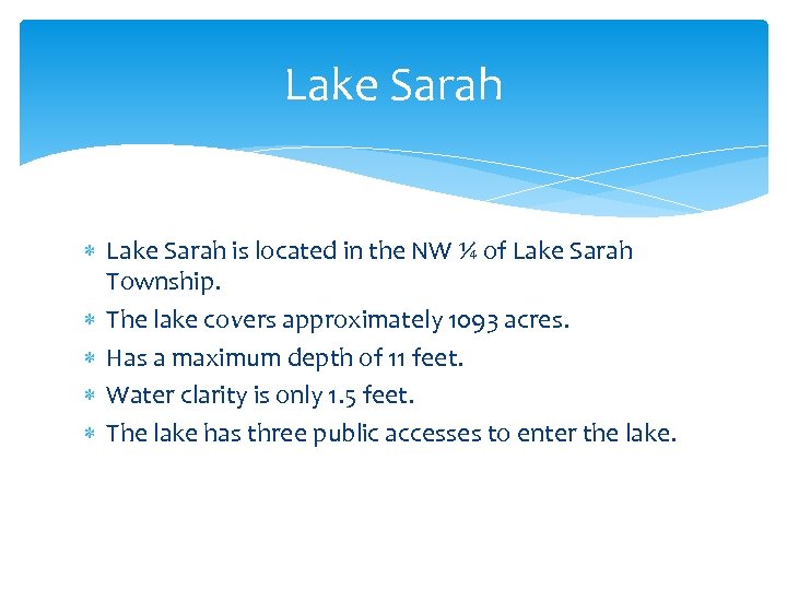 Lake Sarah is located in the NW ¼ of Lake Sarah Township. The lake