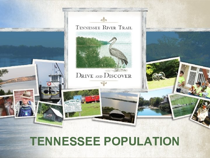 TENNESSEE POPULATION 