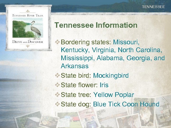 TENNESSEE Tennessee Information v Bordering states: Missouri, Kentucky, Virginia, North Carolina, Mississippi, Alabama, Georgia,