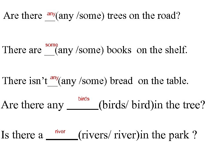 any Are there __(any /some) trees on the road? some There are __(any /some)