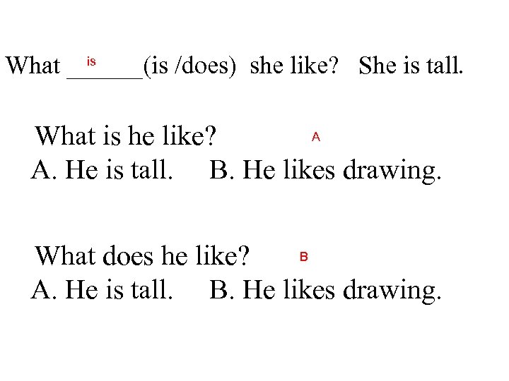 is What ______(is /does) she like? She is tall. A What is he like?