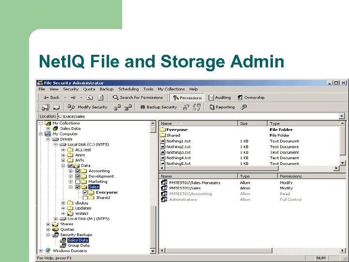 Net. IQ File and Storage Admin 