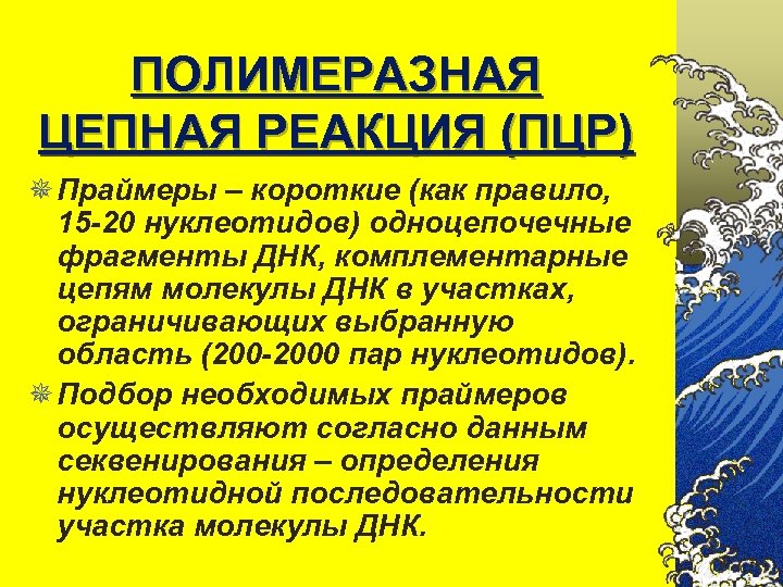 ПОЛИМЕРАЗНАЯ ЦЕПНАЯ РЕАКЦИЯ (ПЦР) ¯ Праймеры – короткие (как правило, 15 -20 нуклеотидов) одноцепочечные