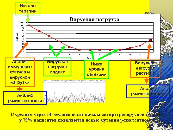 Viral Load Начало терапии Вирусная нагрузка 110 100 90 80 70 60 50 40