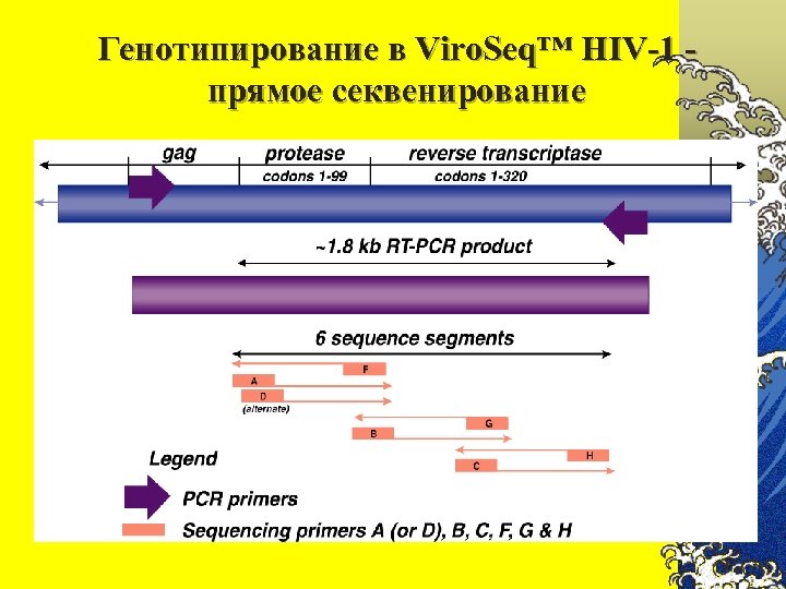 Генотипирование в Viro. Seq™ HIV-1 - прямое секвенирование 