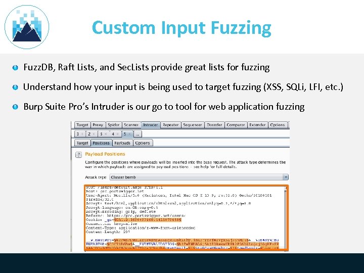 Custom Input Fuzzing Fuzz. DB, Raft Lists, and Sec. Lists provide great lists for