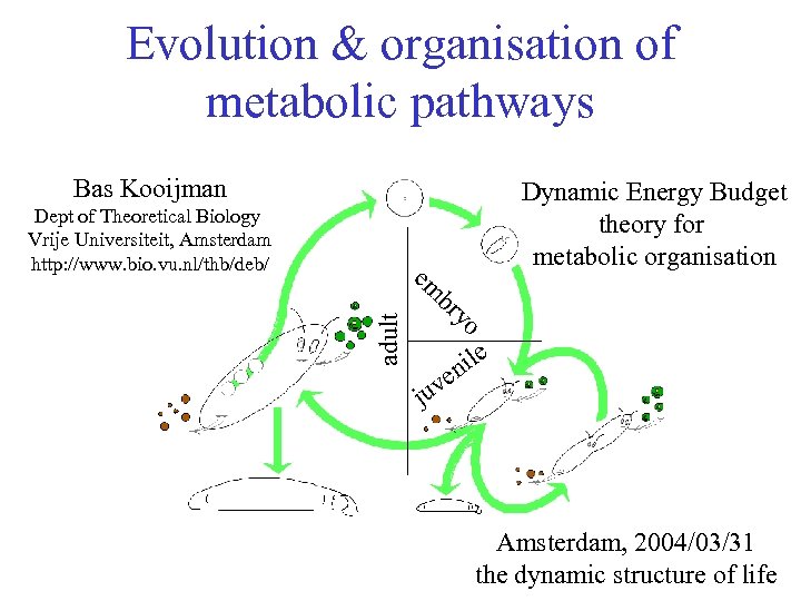 Evolution & organisation of metabolic pathways Bas Kooijman Dept of Theoretical Biology Vrije Universiteit,