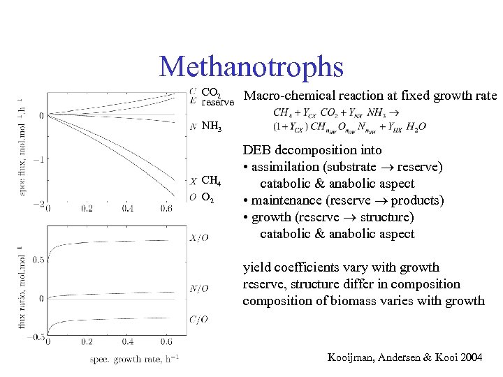 Methanotrophs CO 2 reserve Macro-chemical reaction at fixed growth rate NH 3 CH 4