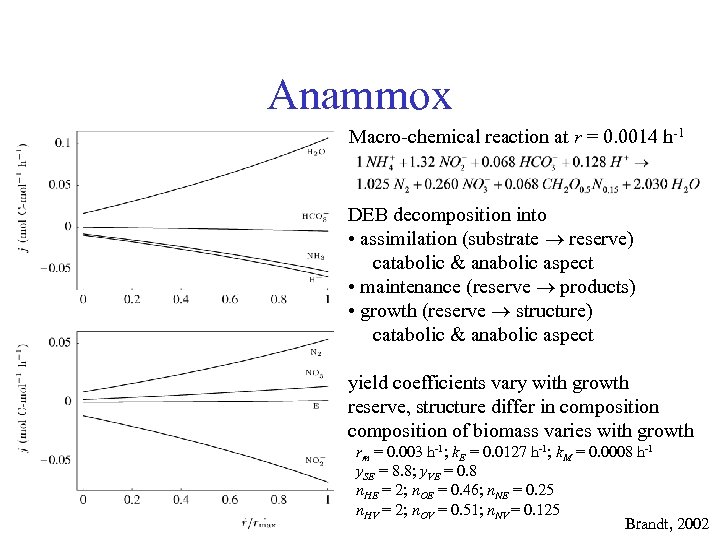 Anammox Macro-chemical reaction at r = 0. 0014 h-1 DEB decomposition into • assimilation