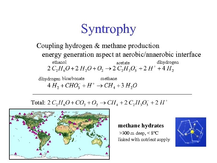 Syntrophy Coupling hydrogen & methane production energy generation aspect at aerobic/anaerobic interface ethanol dihydrogen