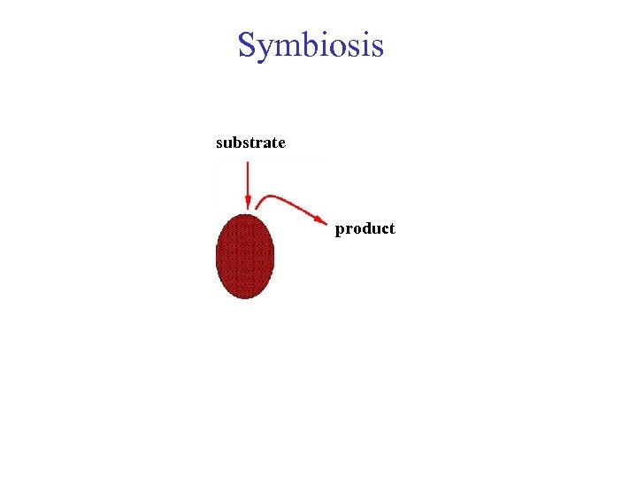 Symbiosis substrate product 