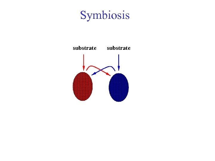 Symbiosis substrate 