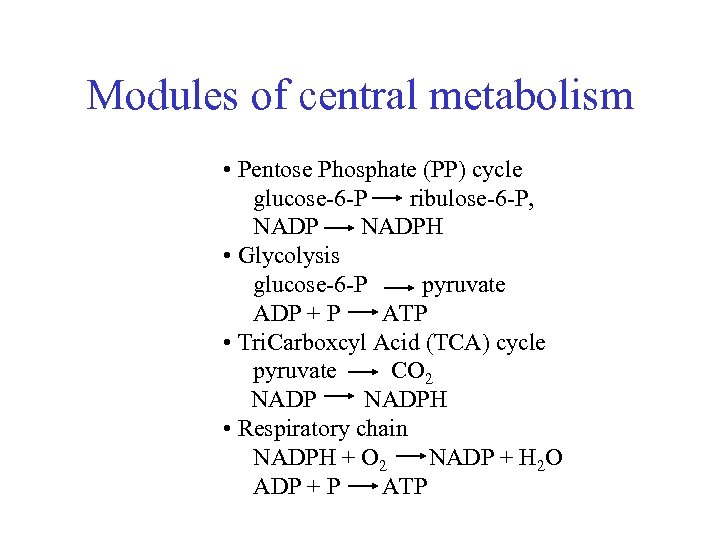 Modules of central metabolism • Pentose Phosphate (PP) cycle glucose-6 -P ribulose-6 -P, NADPH