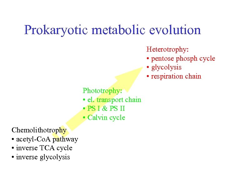 Prokaryotic metabolic evolution Heterotrophy: • pentose phosph cycle • glycolysis • respiration chain Phototrophy: