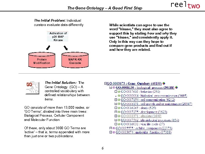 The Gene Ontology – A Good First Step The Initial Problem: Individual curators evaluate