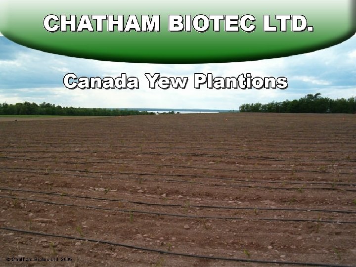 © Chatham Biotec Ltd. 2005 