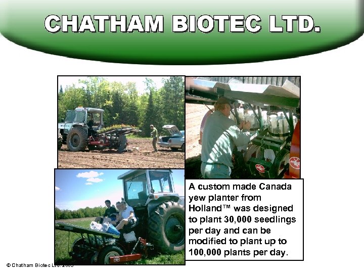 A custom made Canada yew planter from Holland™ was designed to plant 30, 000