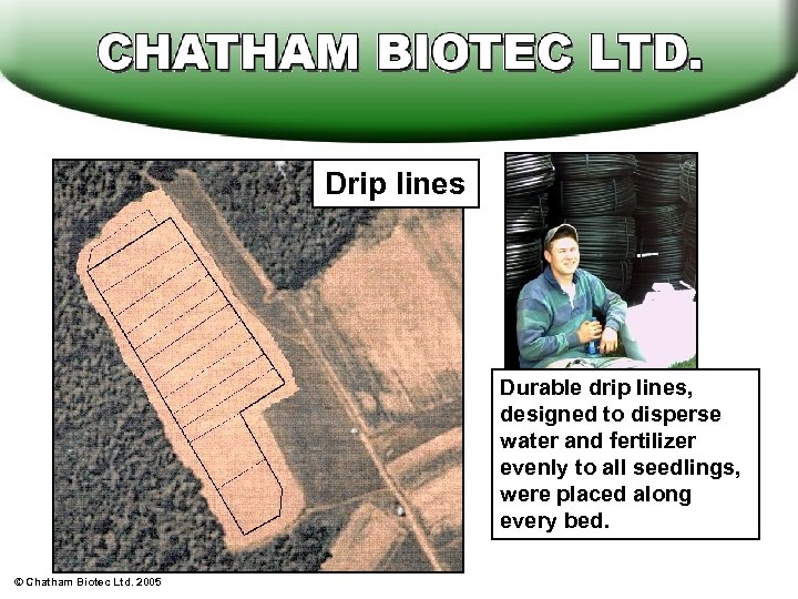 Drip lines Durable drip lines, designed to disperse water and fertilizer evenly to all