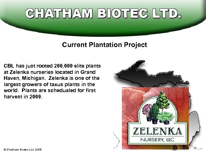 Current Plantation Project CBL has just rooted 200, 000 elite plants at Zelenka nurseries