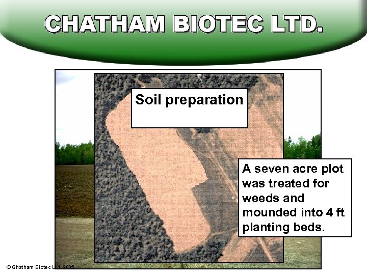 Soil preparation A seven acre plot was treated for weeds and mounded into 4