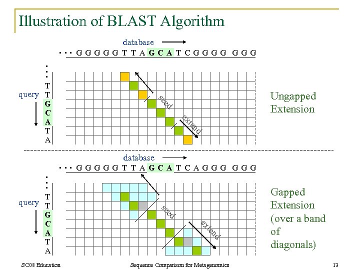 Illustration of BLAST Algorithm database …GGGGGT TAGCATCGGGG G … Ungapped Extension ed se T