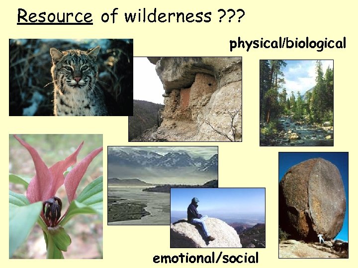 Resource of wilderness ? ? ? physical/biological emotional/social 