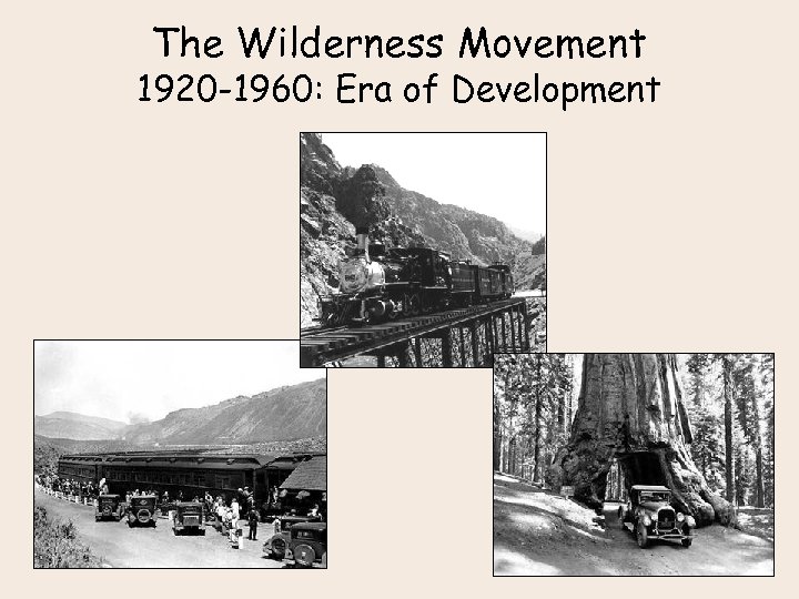 The Wilderness Movement 1920 -1960: Era of Development 