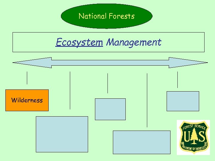 National Forests Ecosystem Management Wilderness 
