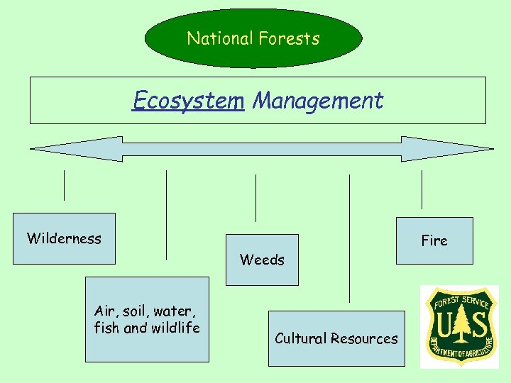 National Forests Ecosystem Management Wilderness Weeds Air, soil, water, fish and wildlife Cultural Resources