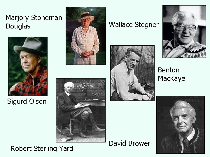 Marjory Stoneman Douglas Wallace Stegner Benton Mac. Kaye Sigurd Olson Robert Sterling Yard David