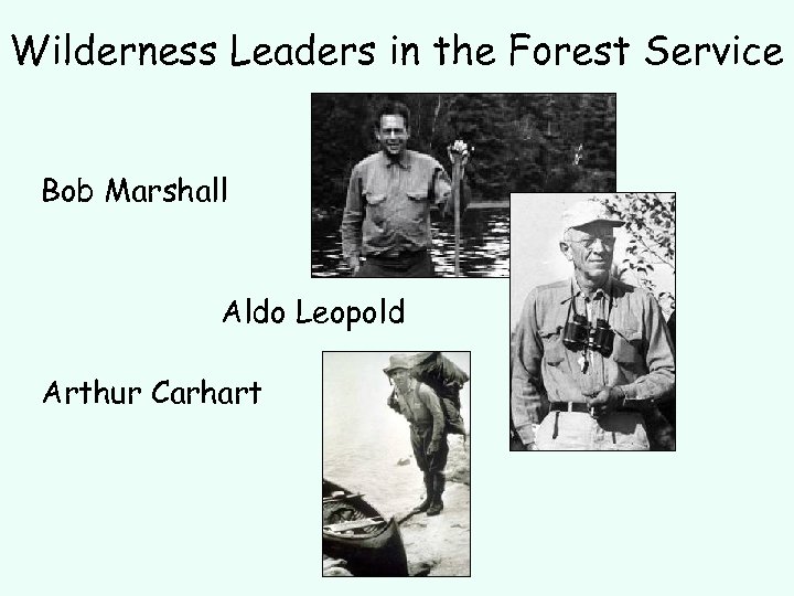 Wilderness Leaders in the Forest Service Bob Marshall Aldo Leopold Arthur Carhart 