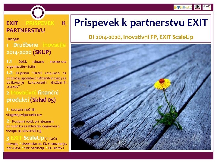 EXIT PRISPEVEK PARTNERSTVU K Obsega: 1 Družbene inovacije 2014 -2020 (SKUP) 1. 1 Obisk