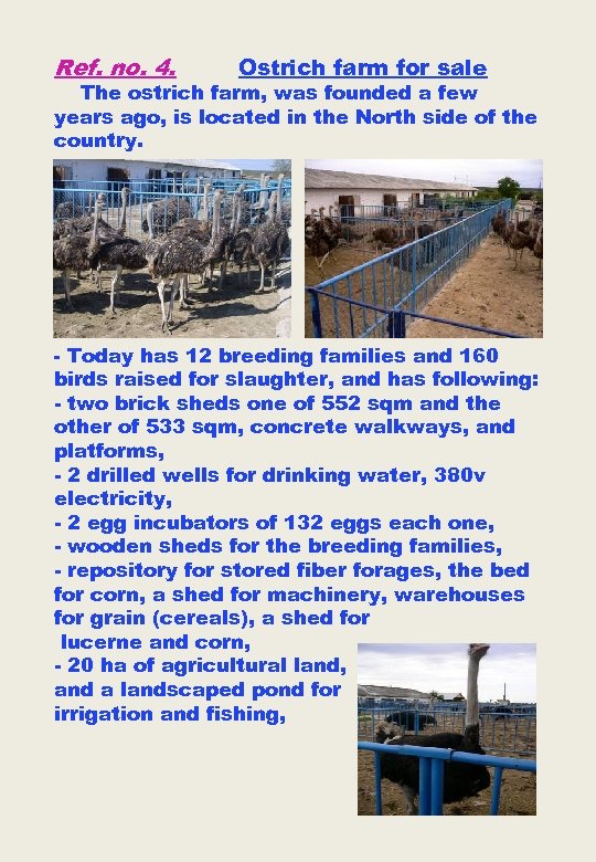 Ref. no. 4. Ostrich farm for sale The ostrich farm, was founded a few