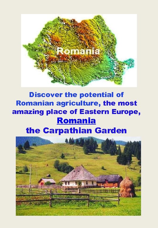 Discover the potential of Romanian agriculture, the most amazing place of Eastern Europe, Romania