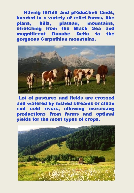 Having fertile and productive lands, located in a variety of relief forms, like plans,