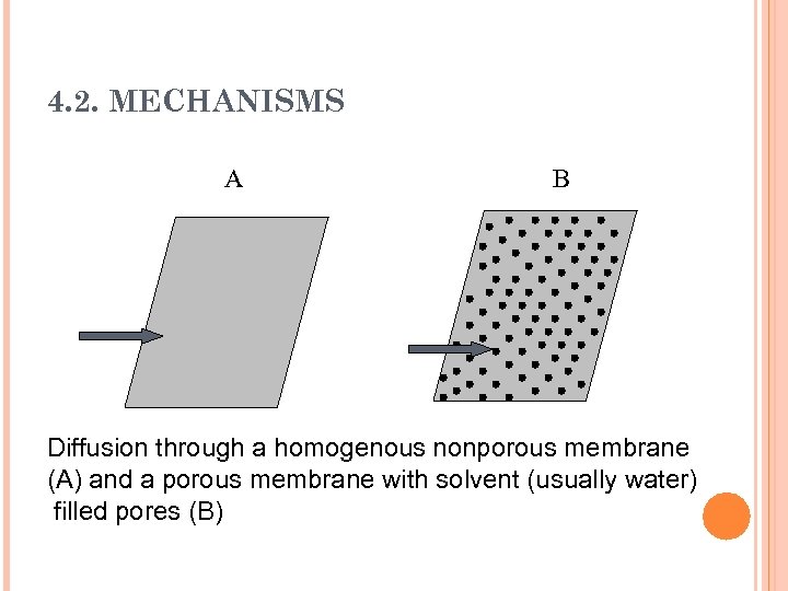 4. 2. MECHANISMS A B Diffusion through a homogenous nonporous membrane (A) and a