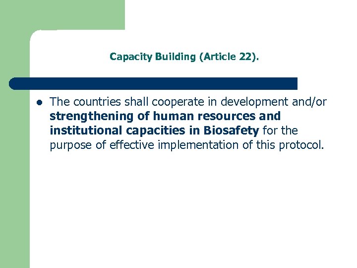 Capacity Building (Article 22). l The countries shall cooperate in development and/or strengthening of