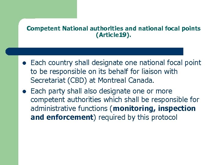 Competent National authorities and national focal points (Article 19). l l Each country shall