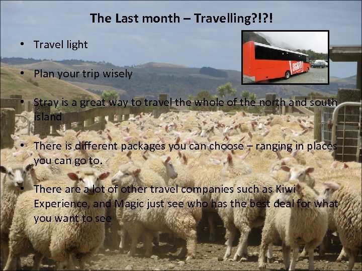 The Last month – Travelling? !? ! • Travel light • Plan your trip