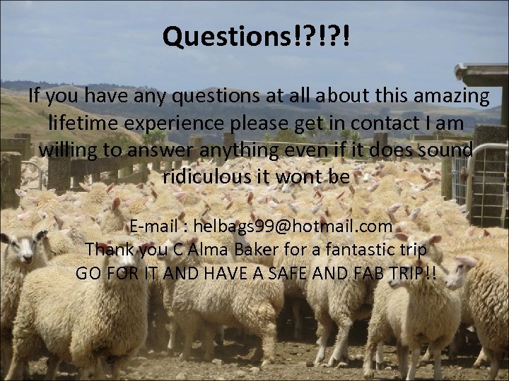 Questions!? !? ! If you have any questions at all about this amazing lifetime