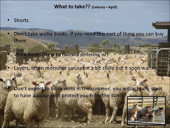 What to take? ? (January – April) • Shorts • Don’t take wellie boots,
