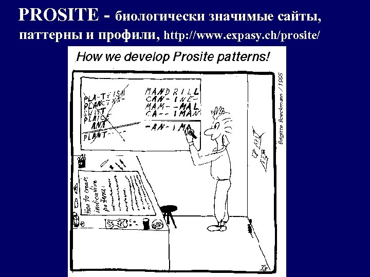 PROSITE - биологически значимые сайты, паттерны и профили, http: //www. expasy. ch/prosite/ 