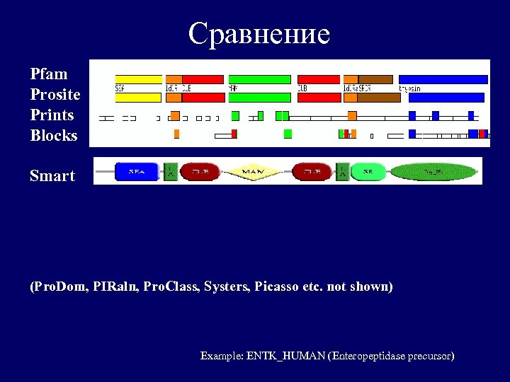 Сравнение Pfam Prosite Prints Blocks Smart (Pro. Dom, PIRaln, Pro. Class, Systers, Picasso etc.