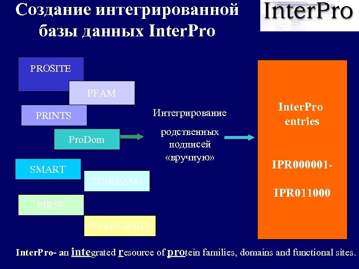 Создание интегрированной базы данных Inter. Pro PROSITE PFAM Интегрирование PRINTS Pro. Dom SMART TIGRFAMs