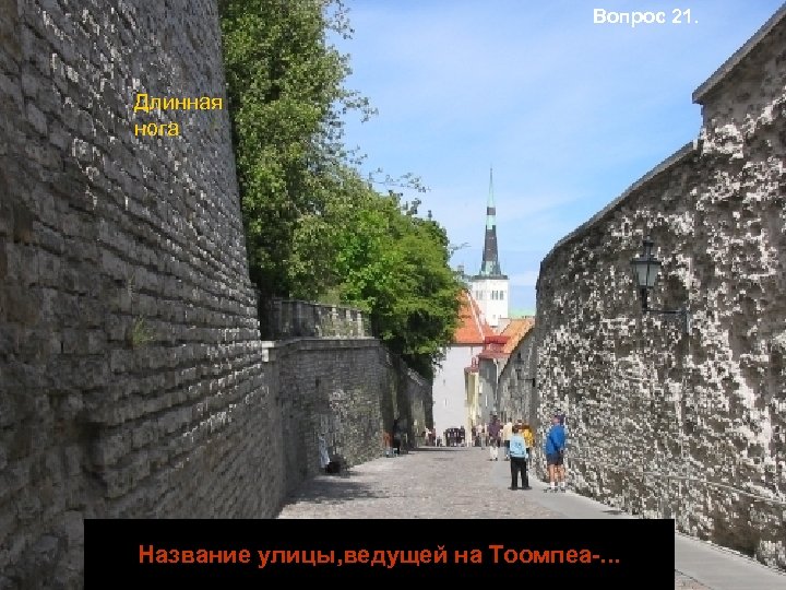 Вопрос 21. Длинная нога Название улицы, ведущей на Тоомпеа-. . . 