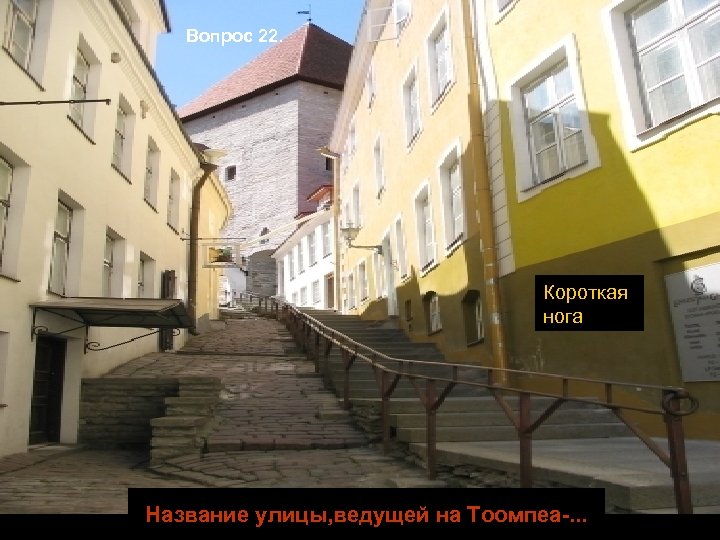 Вопрос 22. Короткая нога Название улицы, ведущей на Тоомпеа-. . . 